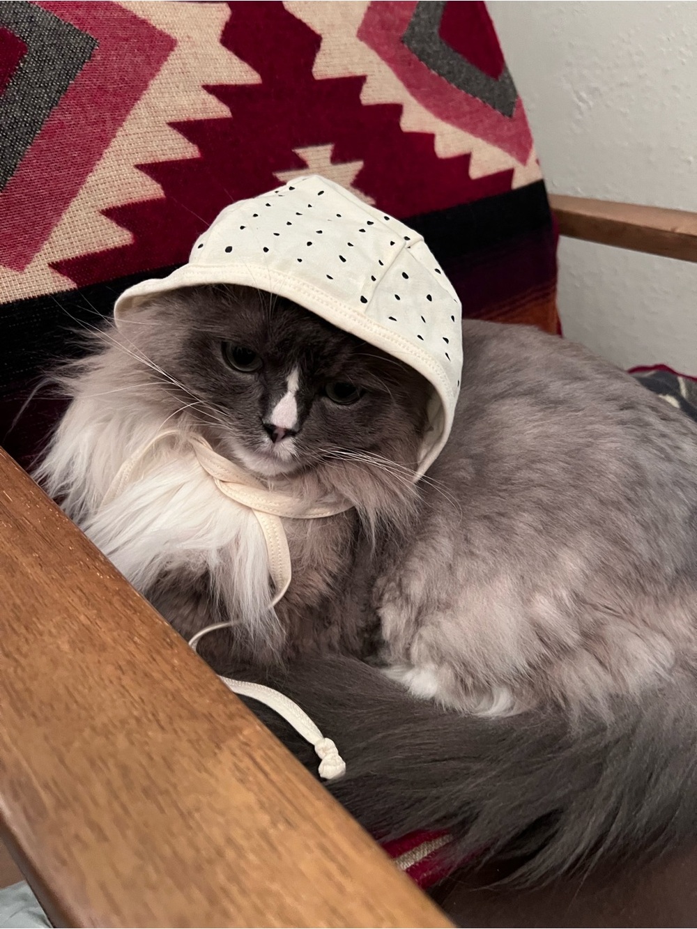 Cream Dotted Cat Bonnet - Soft Pet Hat for Cats